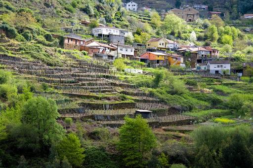 ribeira sacra 8.jpg